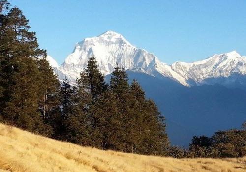 Ghorepani-Poon Hill Green Trek